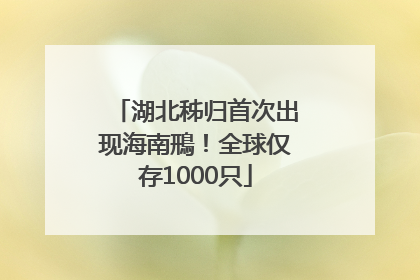 湖北秭归首次出现海南鳽！全球仅存1000只