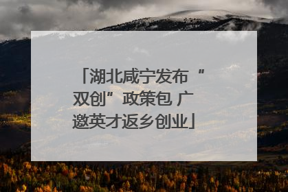 湖北咸宁发布“双创”政策包 广邀英才返乡创业
