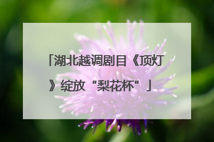 湖北越调剧目《顶灯》绽放“梨花杯”