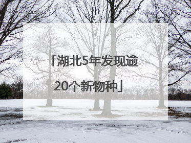 湖北5年发现逾20个新物种