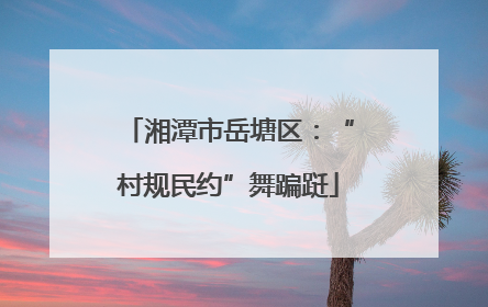 湘潭市岳塘区：“村规民约”舞蹁跹