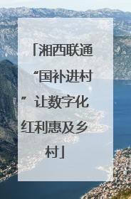 湘西联通“国补进村”让数字化红利惠及乡村