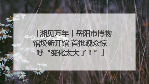 湘见万年丨岳阳市博物馆焕新开馆 首批观众惊呼“变化太大了！”