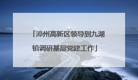 漳州高新区领导到九湖镇调研基层党建工作