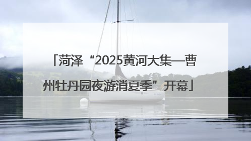 菏泽“2025黄河大集—曹州牡丹园夜游消夏季”开幕