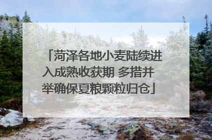 菏泽各地小麦陆续进入成熟收获期 多措并举确保夏粮颗粒归仓