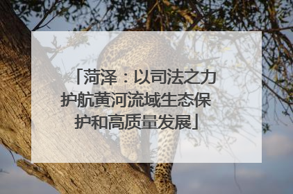 菏泽：以司法之力护航黄河流域生态保护和高质量发展