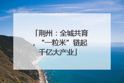 荆州：全城共育，“一粒米”链起千亿大产业
