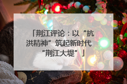 荆江评论：以“抗洪精神”筑起新时代“荆江大堤”