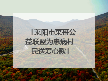 莱阳市菜哥公益联盟为患病村民送爱心款