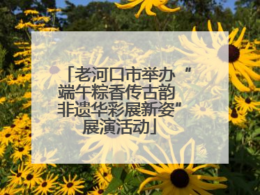 老河口市举办“端午粽香传古韵 非遗华彩展新姿”展演活动