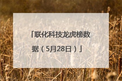 联化科技龙虎榜数据（5月28日）
