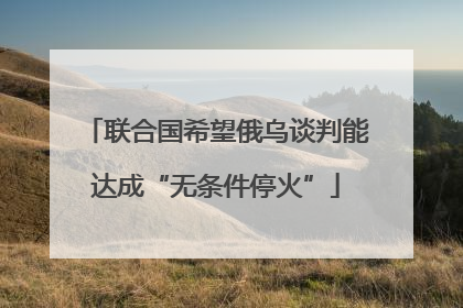 联合国希望俄乌谈判能达成“无条件停火”