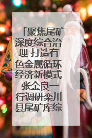 聚焦尾矿深度综合治理 打造有色金属循环经济新模式 张金良一行调研栾川县尾矿库综合治理工作