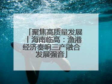 聚焦高质量发展丨海南临高：渔港经济奏响三产融合发展强音