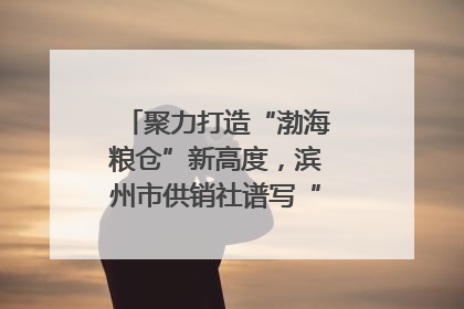 聚力打造“渤海粮仓”新高度，滨州市供销社谱写“三夏”丰收乐章