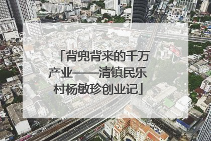 背兜背来的千万产业——清镇民乐村杨敏珍创业记