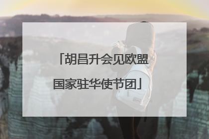 胡昌升会见欧盟国家驻华使节团