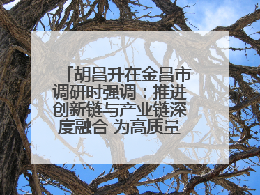 胡昌升在金昌市调研时强调：推进创新链与产业链深度融合 为高质量发展塑造新动能新优势