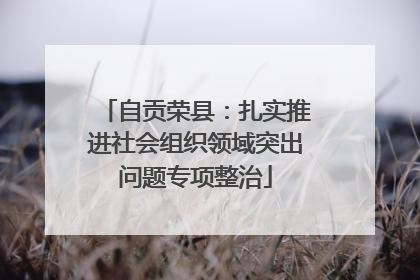 自贡荣县：扎实推进社会组织领域突出问题专项整治