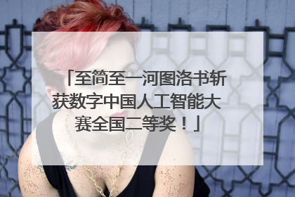 至简至一河图洛书斩获数字中国人工智能大赛全国二等奖！