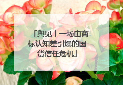 舆见丨一场由商标认知差引爆的国货信任危机