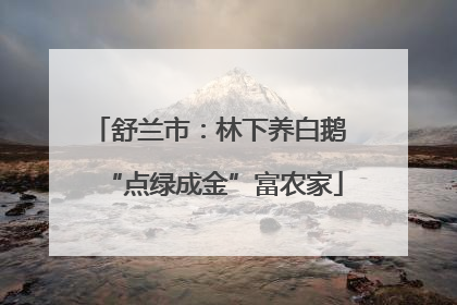 舒兰市：林下养白鹅 “点绿成金”富农家