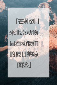 芒种到丨来北京动物园看动物们的夏日纳凉图鉴