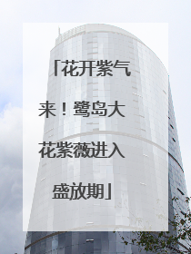 花开紫气来！鹭岛大花紫薇进入盛放期