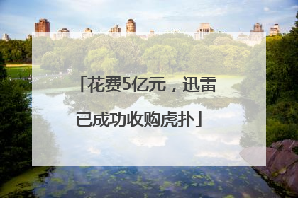 花费5亿元，迅雷已成功收购虎扑
