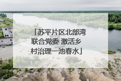 苏平片区北部湾联合党委 激活乡村治理一池春水