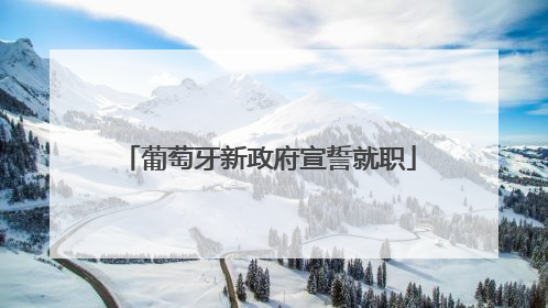 葡萄牙新政府宣誓就职