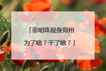 董明珠现身郑州 为了啥？干了啥？