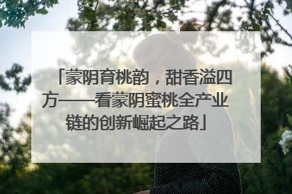蒙阴育桃韵，甜香溢四方——看蒙阴蜜桃全产业链的创新崛起之路