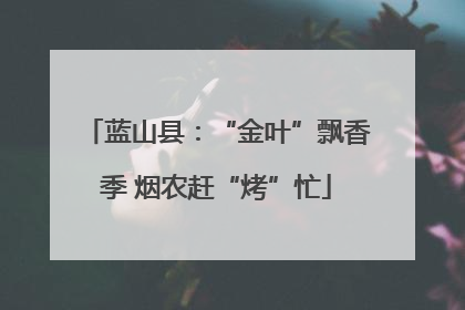 蓝山县：“金叶”飘香季 烟农赶“烤”忙