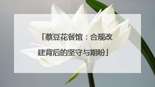 蔡豆花餐馆：合规改建背后的坚守与期盼