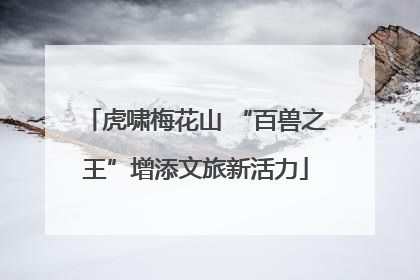 虎啸梅花山 “百兽之王”增添文旅新活力