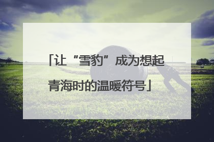 让“雪豹”成为想起青海时的温暖符号