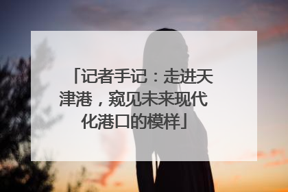 记者手记：走进天津港，窥见未来现代化港口的模样