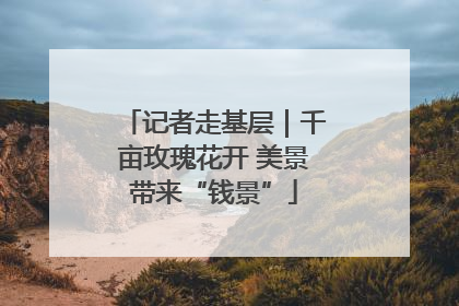 记者走基层｜千亩玫瑰花开 美景带来“钱景”