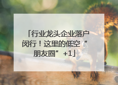 行业龙头企业落户闵行！这里的低空“朋友圈”+1