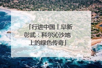 行进中国丨阜新彰武：科尔沁沙地上的绿色传奇