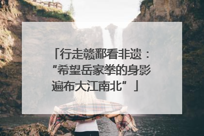行走赣鄱看非遗：“希望岳家拳的身影遍布大江南北”