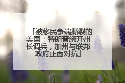 被移民争端撕裂的美国：特朗普绕开州长调兵，加州与联邦政府正面对抗