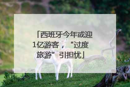 西班牙今年或迎1亿游客，“过度旅游”引担忧