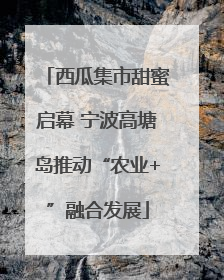 西瓜集市甜蜜启幕 宁波高塘岛推动“农业+”融合发展