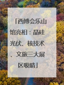 西博会乐山馆亮相：晶硅光伏、核技术、文旅三大展区吸睛