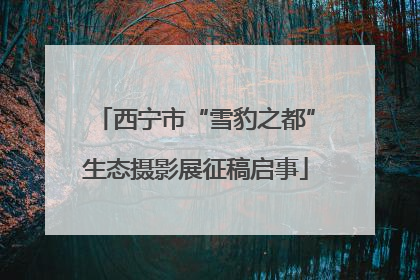 西宁市“雪豹之都”生态摄影展征稿启事