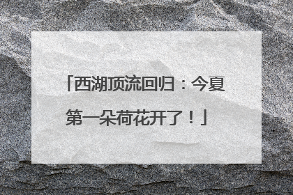 西湖顶流回归：今夏第一朵荷花开了！