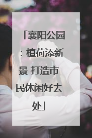襄阳公园：植荷添新景 打造市民休闲好去处